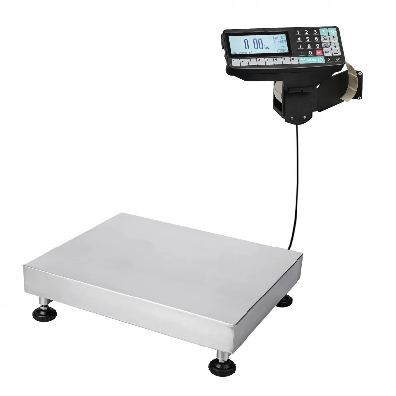 Весы МАССА-К TB-5040N-200.2-RP1
